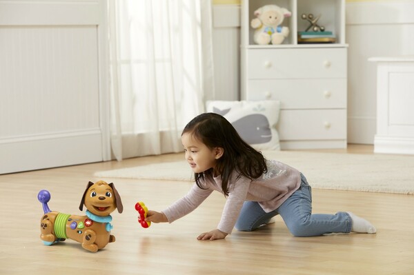 VTech VTech Maxou mon chien filou (fr) 3417765227059