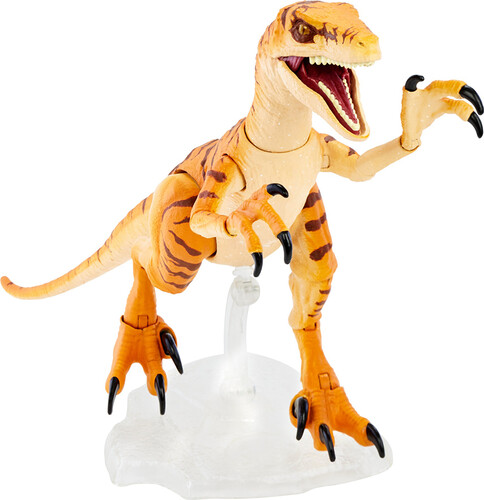 Mattel Jurassic World- Amber Collection Mid-Sized Dino Velociraptor 887961973068
