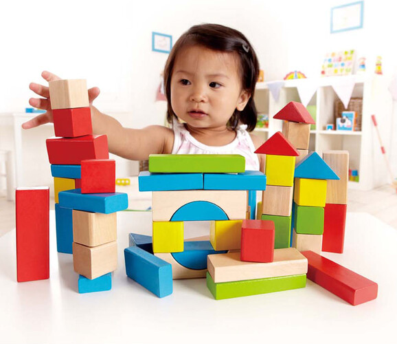 Hape Blocs de construction en boi 6943478002562