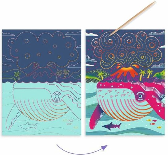 Djeco Cartes à gratter dessus-dessous 3070900097148