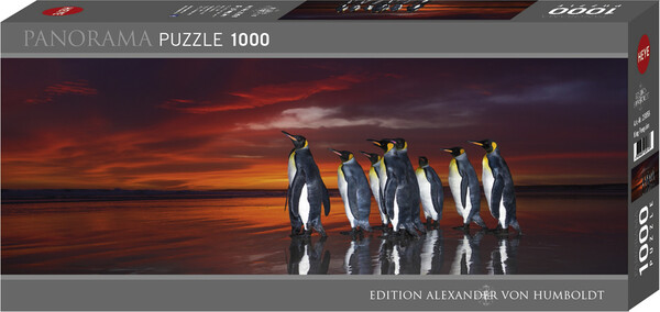 Heye Casse-tête 1000 Panoramique Wim van den Heever - Manchots royaux (King Penguins), Alexander von Humboldt, panorama 4001689298586