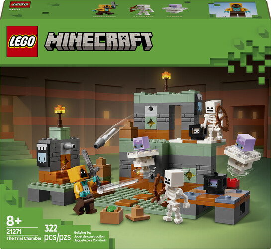 LEGO LEGO 21271 La chambre des épreuves 673419404716