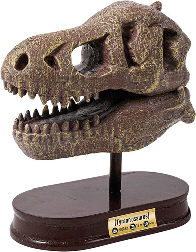 Buki Buki dino - museum skulls t-rex 3700802104872