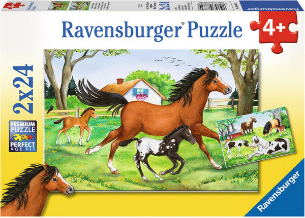 Ravensburger Casse-tête 24x2 Monde de chevaux 4005556088829