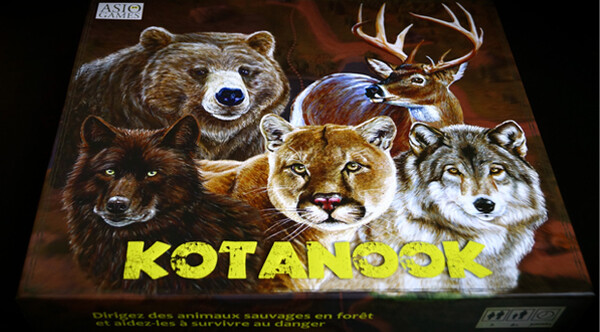 Asio Games Kotanook (fr/en) 627843252184