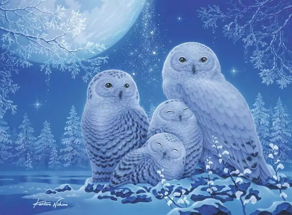 Ravensburger casse-tête Casse-tête 500 Glow in the dark - Chouettes lune 4005555004790