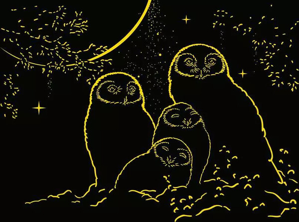 Ravensburger casse-tête Casse-tête 500 Glow in the dark - Chouettes lune 4005555004790