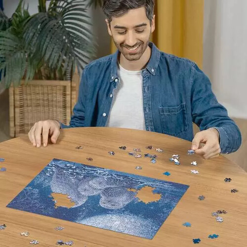 Ravensburger casse-tête Casse-tête 500 Glow in the dark - Chouettes lune 4005555004790