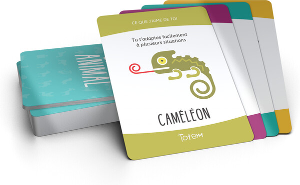 Équipe Totem Totem (fr) Le jeu qui fait du bien 013964949360