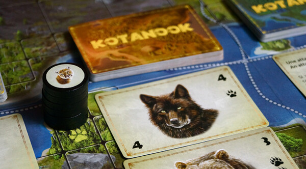 Asio Games Kotanook (fr/en) 627843252184