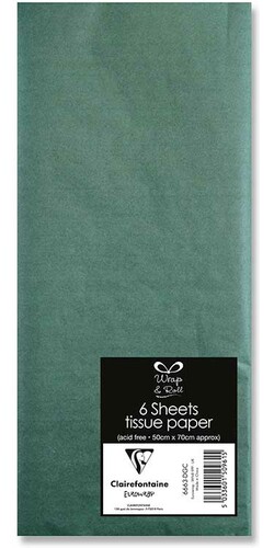 Lamarche Importation Papier de soie sachet 6 feuilles 50 x 70 cm vert empire 5033601509615