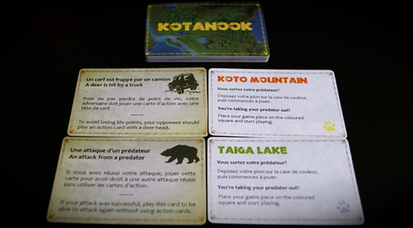 Asio Games Kotanook (fr/en) 627843252184