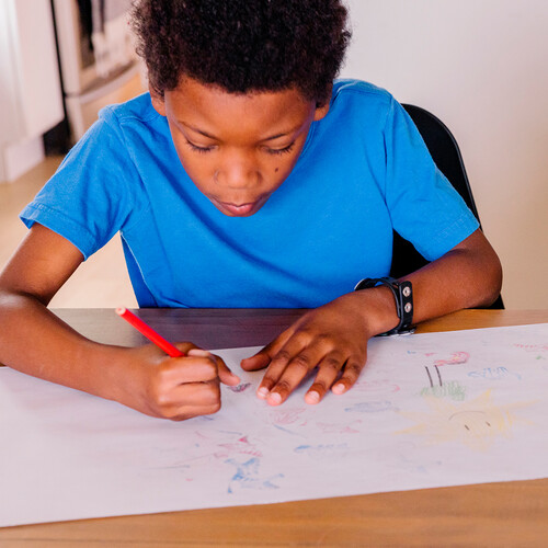 Melissa & Doug ensemble d'estampes - dinosaures 000772116336