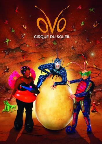 Belvedere Puzzle Casse-tête 1000 Cirque du Soleil Ovo 843277094415
