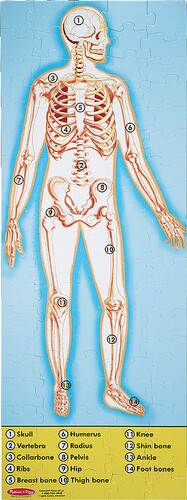 Melissa & Doug Casse-tête plancher 100 anatomie humaine, recto verso Melissa & Doug 445 000772204453