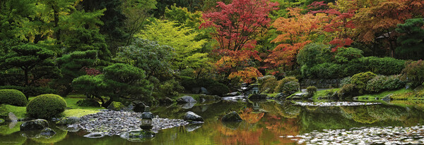 Heye Casse-tête 1000 Panoramique Aaron Reed - Jardin zen et réflexion (Zen Reflection), Alexander von Humboldt, panorama 4001689298593