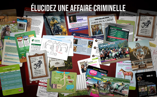 Platonia Games Dossiers Criminels (fr) Pocket - Qui a tué Lord Ravary II ? 3760363610281