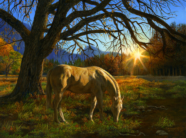 SunsOut Casse-tête 1000 Cheval dans le pâturage au coucher de soleil (Pastoral Sunset) SunsOut 26294 796780262942