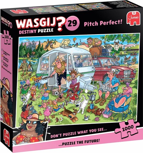 Jumbo Casse-tête 1000 Wasgij Destiny #29 L'emplacement parfait 8721017602866