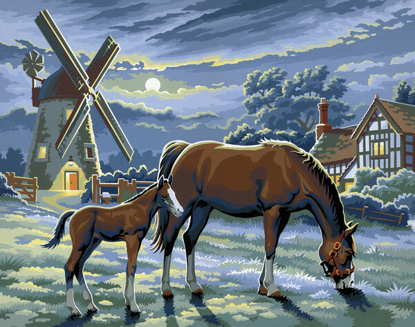Sequin Peinture à numéro Peinture à numéro senior Chevaux ds la nuit 5013634004295