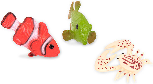 Terra terra - poissons tropicaux en tube 062243341951