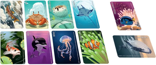 Gigamic Similo : Animaux Aquatiques - FR 3421277831710