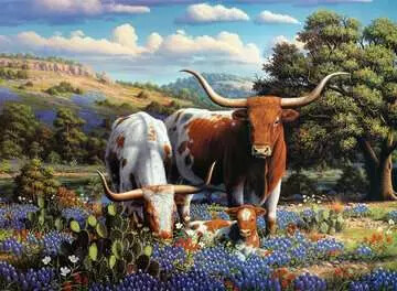 Ravensburger Casse-tête 500 Aimer Longhorns 4005555008262