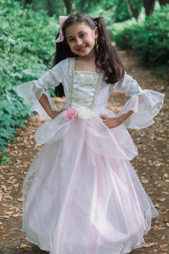 Creative Education Costume Robe de princesse rose dorée, grandeur 5-6 771877319259