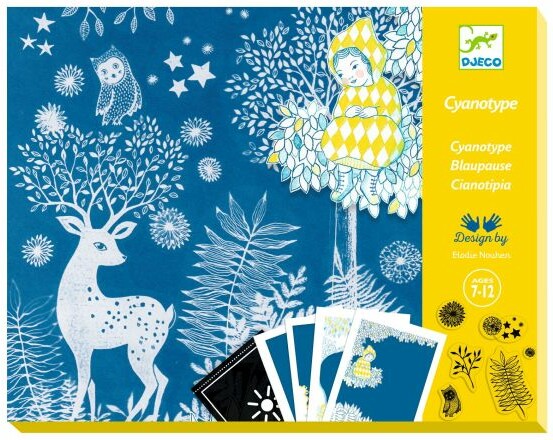 Djeco Cyanotype au clair de la lune (fr/en) 3070900093423