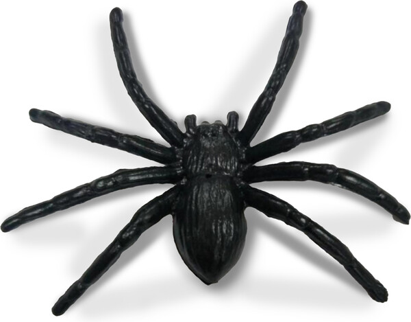 Gladius Farces et attrapes Farces et attrapes - Wilibed - 10 Farces & Attrapes 620373001802