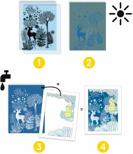 Djeco Cyanotype au clair de la lune (fr/en) 3070900093423