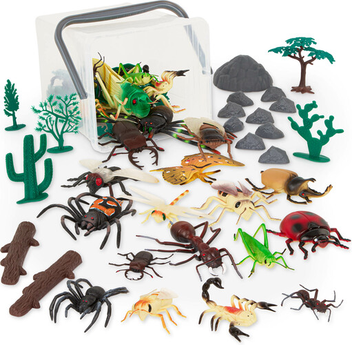 Terra terra - le monde des créatures et insectes rampants 062243507388