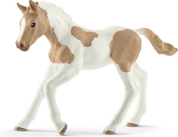 Schleich Schleich 13886 Poulain Paint Horse 4059433025650