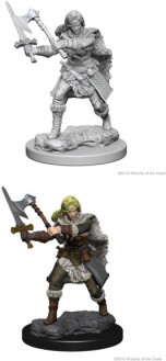 NECA/WizKids LLC Dnd unpainted minis wv1 female human barbarian 634482726440