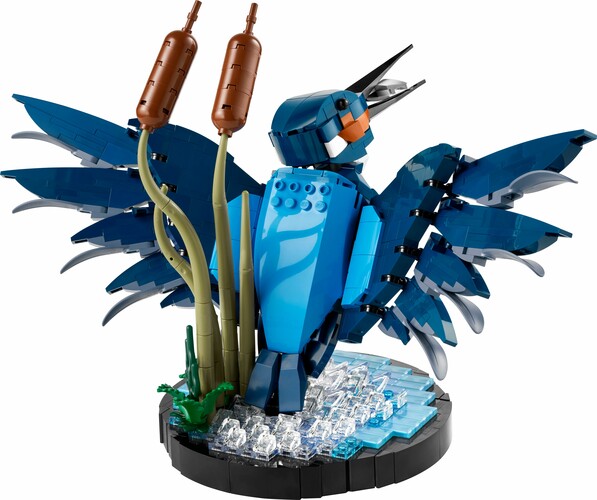 LEGO LEGO 10331 Icons Kingfisher 673419394215