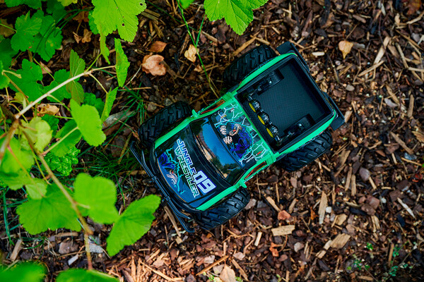 Dickie Toys dickie - téléguidé jungle wrestler f150 30 cm 1:16 4006333089046