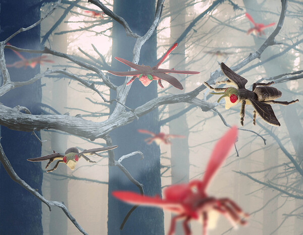 Terra terra - insectes en tube 062243341944