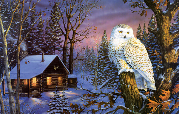 SunsOut Casse-tête 1000 Harfang des neiges qui surveille le camp (Night Watch) SunsOut 71230 796780712300