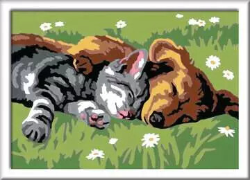 Ravensburger CreArt Peinture à numéro CreART Chien et chat endormis 4005556289301