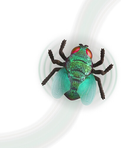 Terra terra - insecte téléguidé mouche verte 062243492417