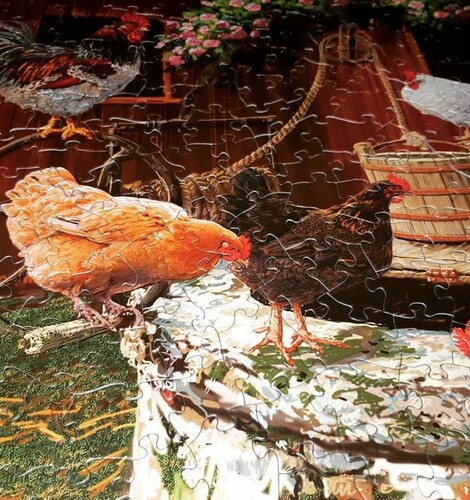 Cobble Hill Puzzle Company Colle pour puzzle 625012537018