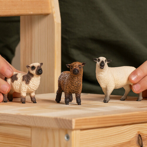 Schleich Schleich 42660 Amis des Moutons 4059433761923