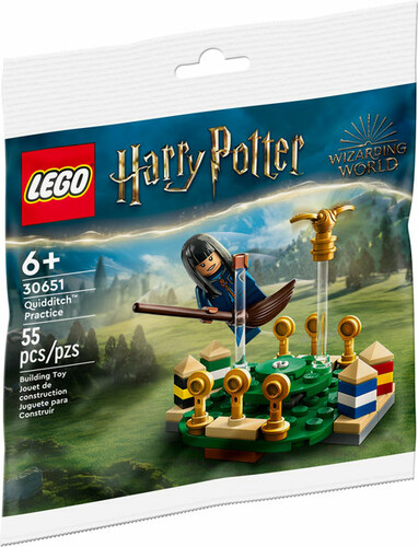 LEGO LEGO 30651 Harry Potter L’entraînement de Quidditch™ 673419377553