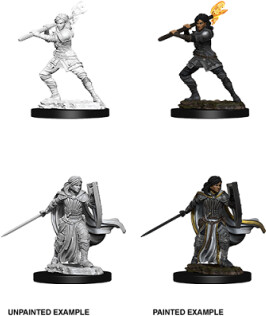 NECA/WizKids LLC Dnd unpainted minis wv10 female human paladin 634482738306