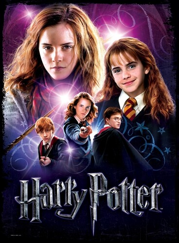 Wrebbit Casse-tête 3D affiche Harry Potter Hermione Granger (500pcs) (poster) 665541050039