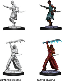 NECA/WizKids LLC Dnd unpainted minis wv10 female human rogue 634482738313