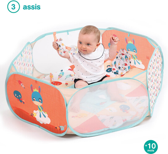 LUDI Tapis d'activités modulable 3550833200117