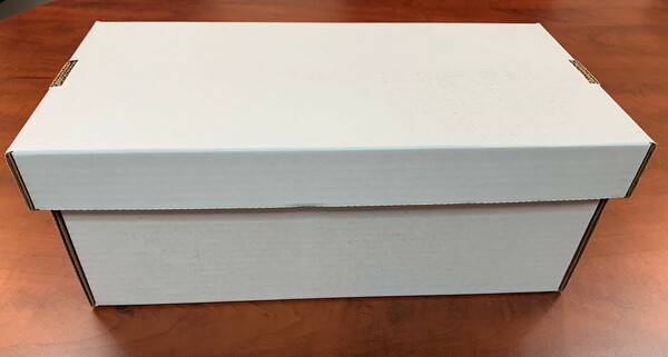 BCW Boite à cartes graded card blanche 