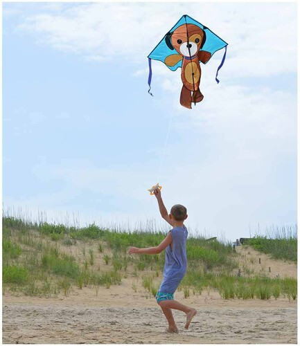 Premier Kites Cerf-volant monocorde large facile à voler chiot 46'' x 90'' 630104440664