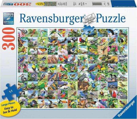 Ravensburger Casse-tête 300 Large 99 Charmants oiseaux 4005556169375